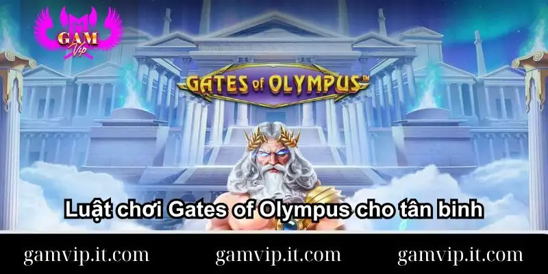 Luật chơi Gates of Olympus cho tân binh