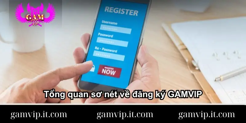 tong-quan-so-net-ve-dang-ky-gamvip